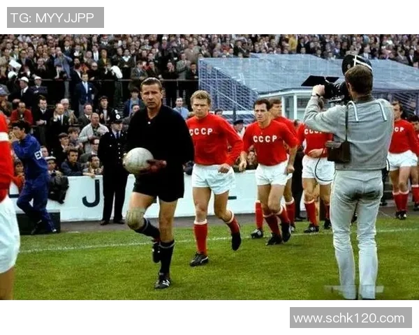 足球14号球星是谁 揭开这一神秘号码背后的传奇人物与故事